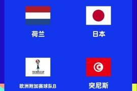 前日本国脚:若日本队志在世界杯夺冠,要以小组头名出线为目标