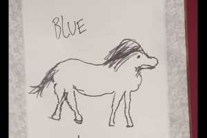 掘金卡梅隆·约翰逊/瓦兰/琼斯马年画马 看看谁是最强画师？