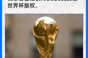 赵宇:世界杯版权买的话肯定是两届,至于价格可以参考前两届